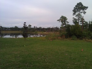 Savannah Estates Preserve Area