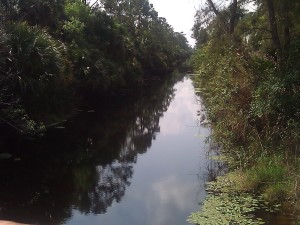 Loxahatchee River