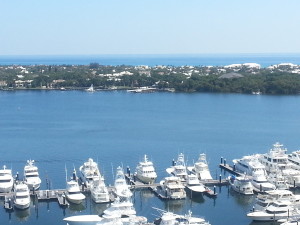 View from Cove Tower west